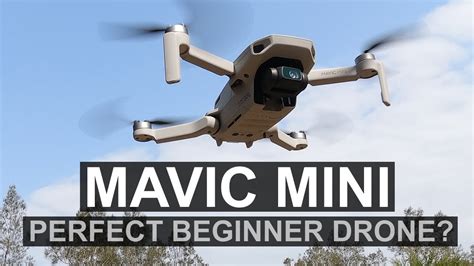 Innovation Unleashed: Ava and Lilith's Mavic Drone Creation